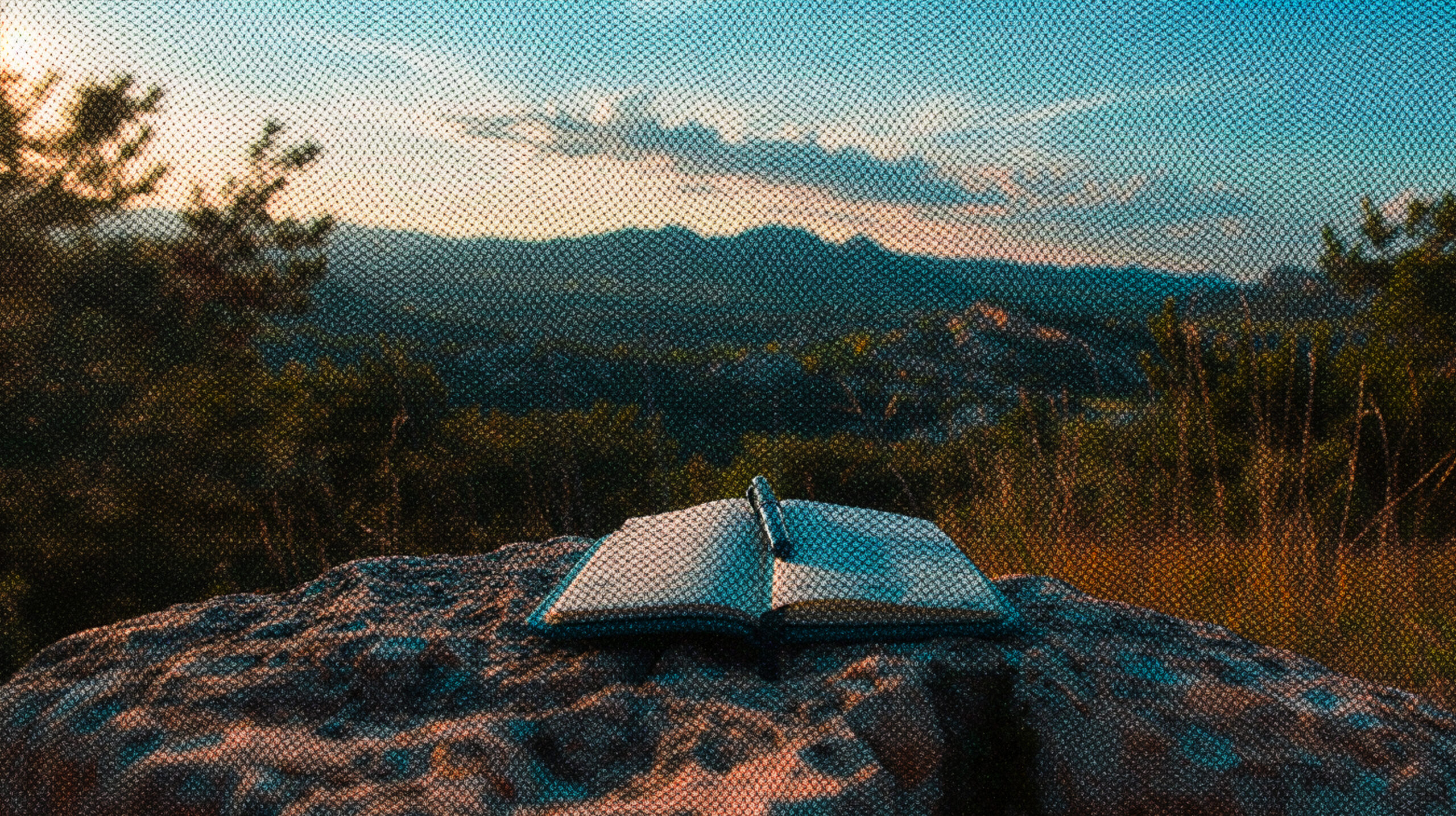 Un viaje en el tiempo hacia la gratitud