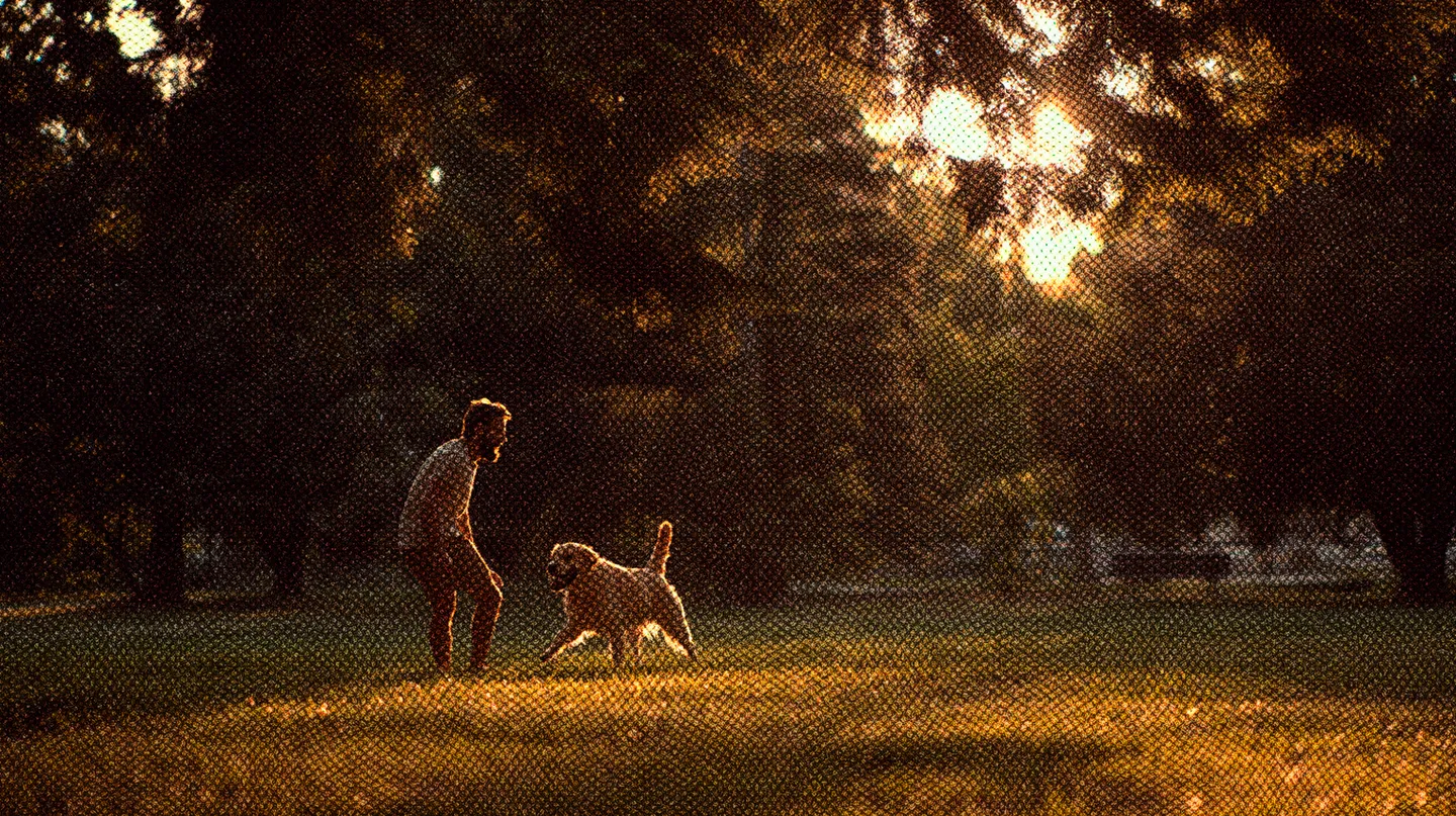 LAS ENSEÑANZAS DE JOBS: EL LABRADOR QUE ME ACOMPAÑÓ POR 13 AÑOS