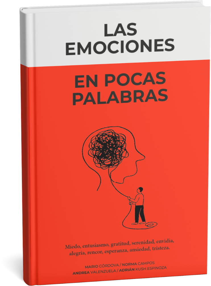 Icono del popup