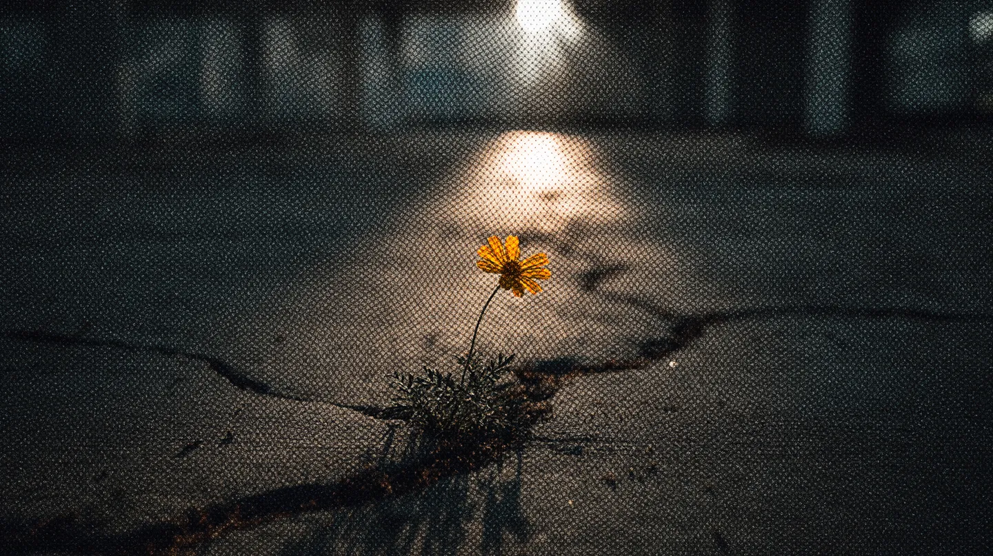 AUTOCOMPASIÓN: UN ACTO DE REBELDÍA SILENCIOSA