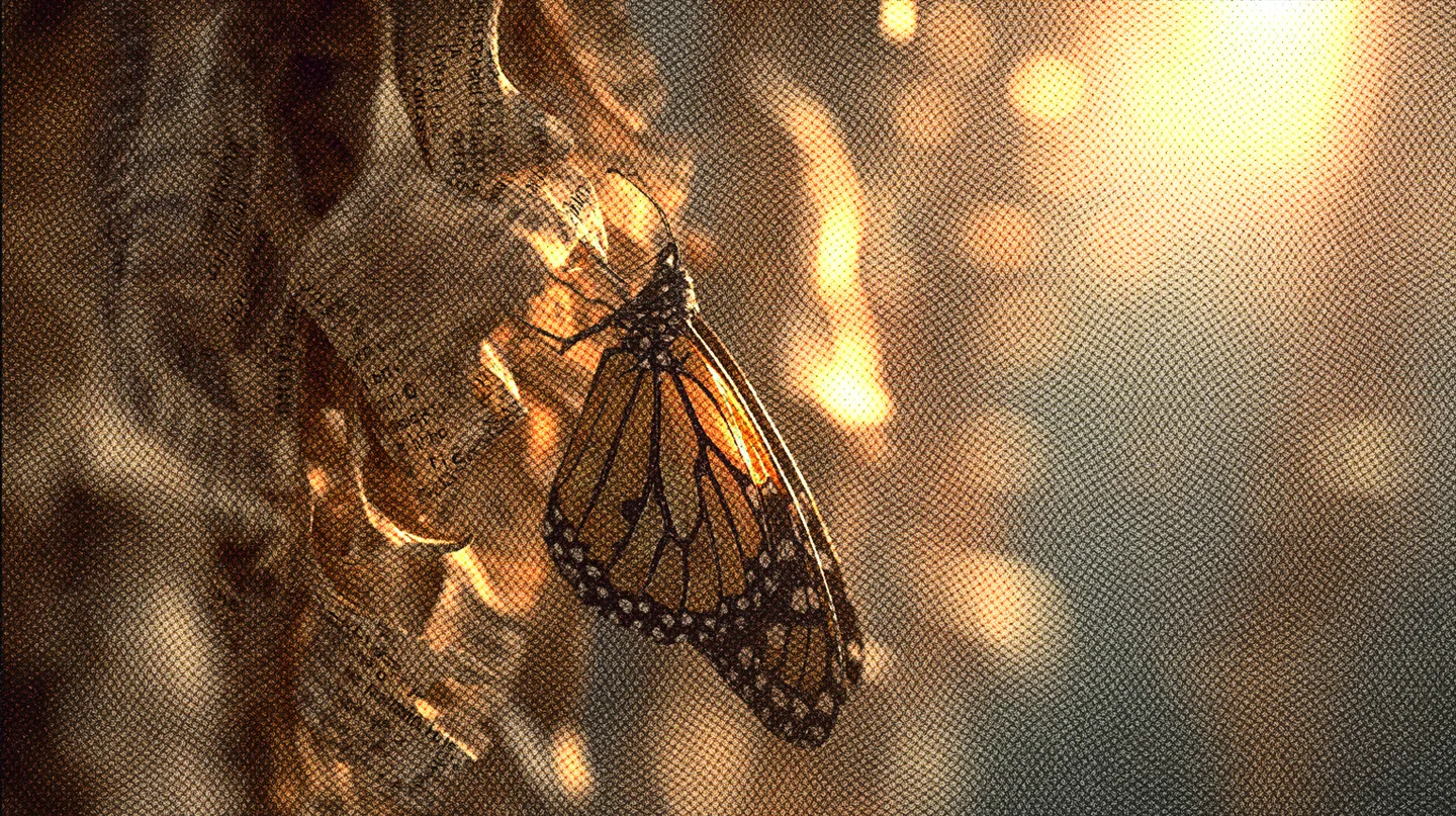 SIN CONFUNDIR, AUTOCOMPASIÓN NO ES LÁSTIMA DE UNO MISMO