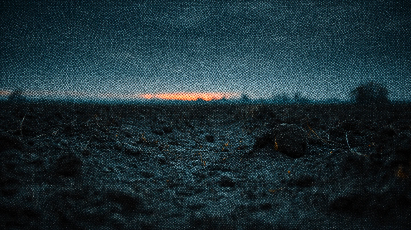 CREATIVIDAD Y BIENESTAR, ¿ES MI INSPIRACIÓN O MI VOLUNTAD?