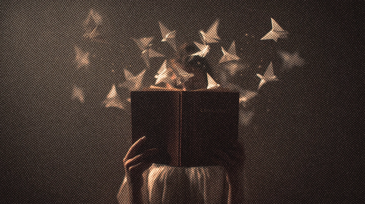 GRATITUD ACTIVA, UN HÁBITO, NO SÓLO CORTESÍA